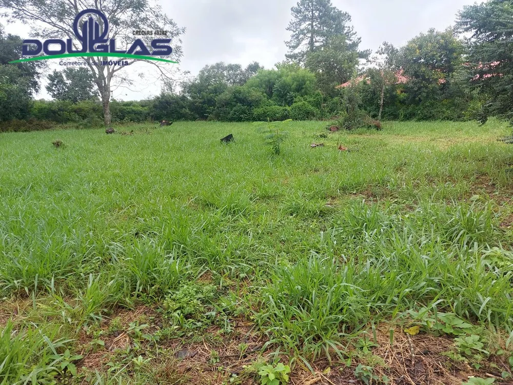 Terreno, 600 m² - Foto 2