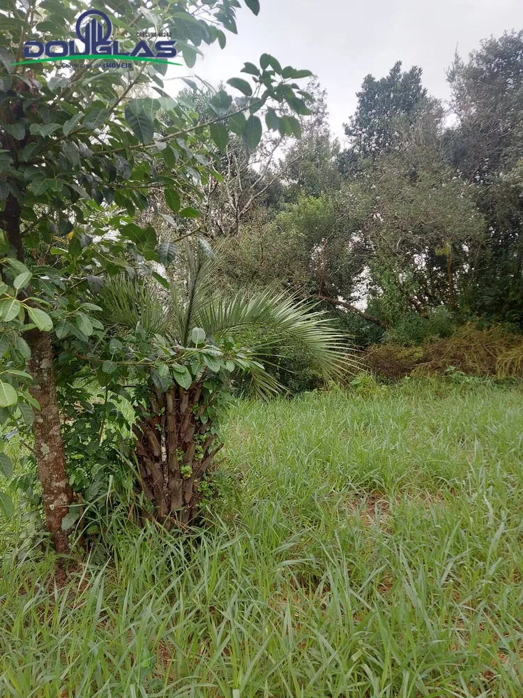 Terreno, 600 m² - Foto 6