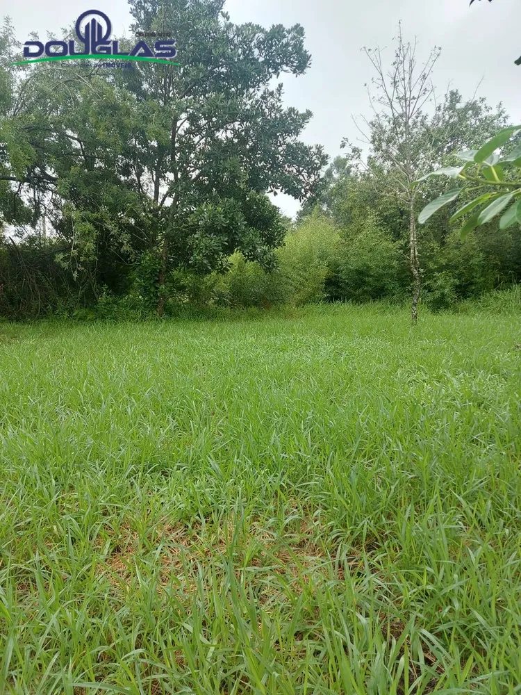 Terreno, 600 m² - Foto 5