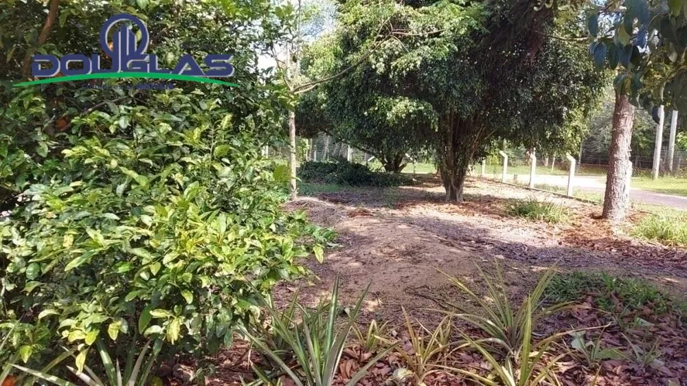 Terreno - Foto 5