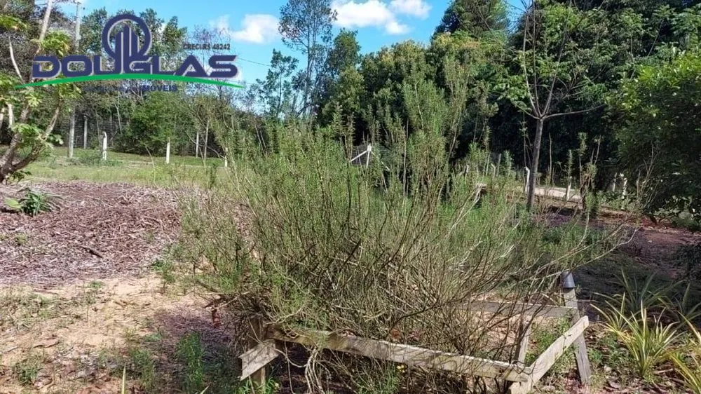Terreno - Foto 4