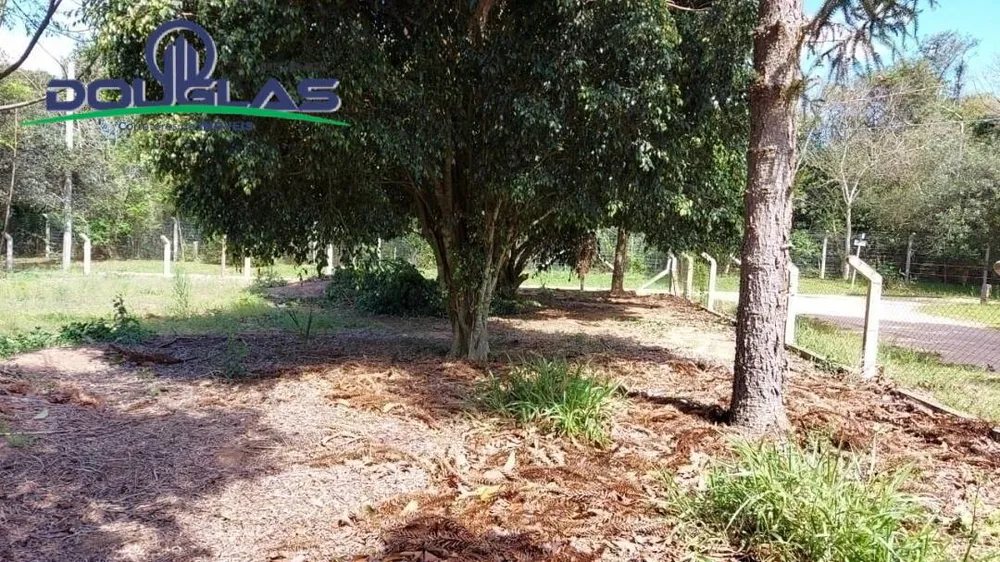 Terreno - Foto 6