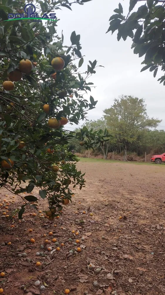 Sítio, 3 quartos, 2 hectares - Foto 12