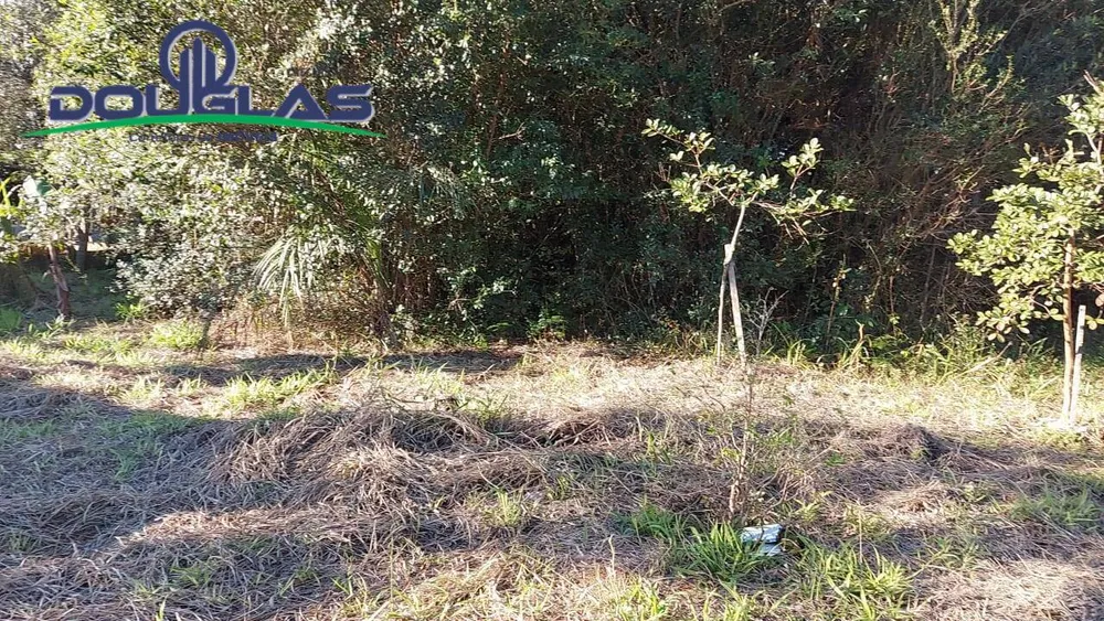 Terreno, 1398 m² - Foto 6