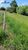 Terreno, 1550 m² - Foto 2