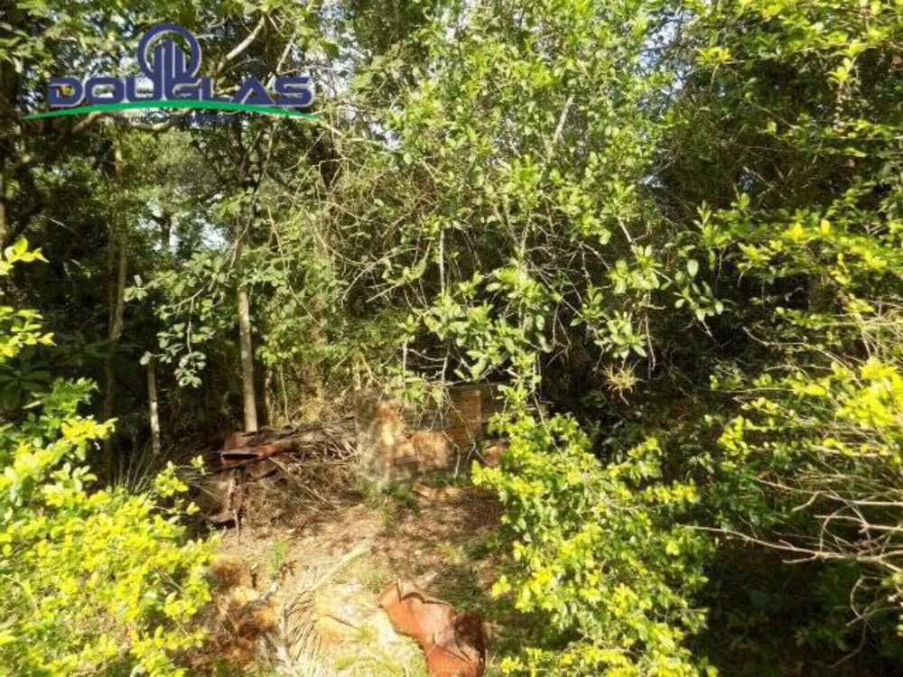 Terreno, 600 m² - Foto 4