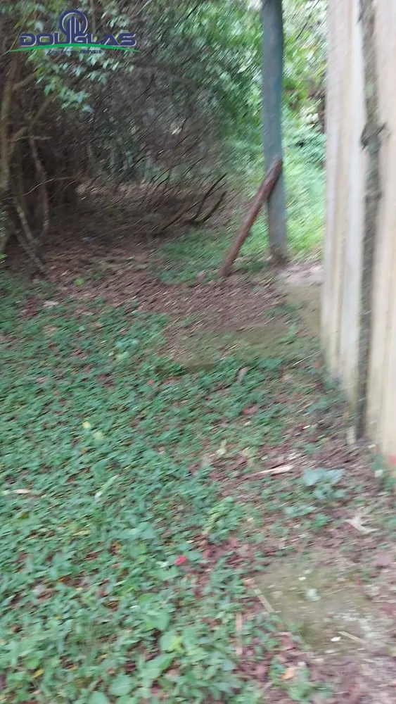 Terreno - Foto 4