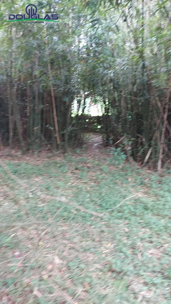 Terreno - Foto 6