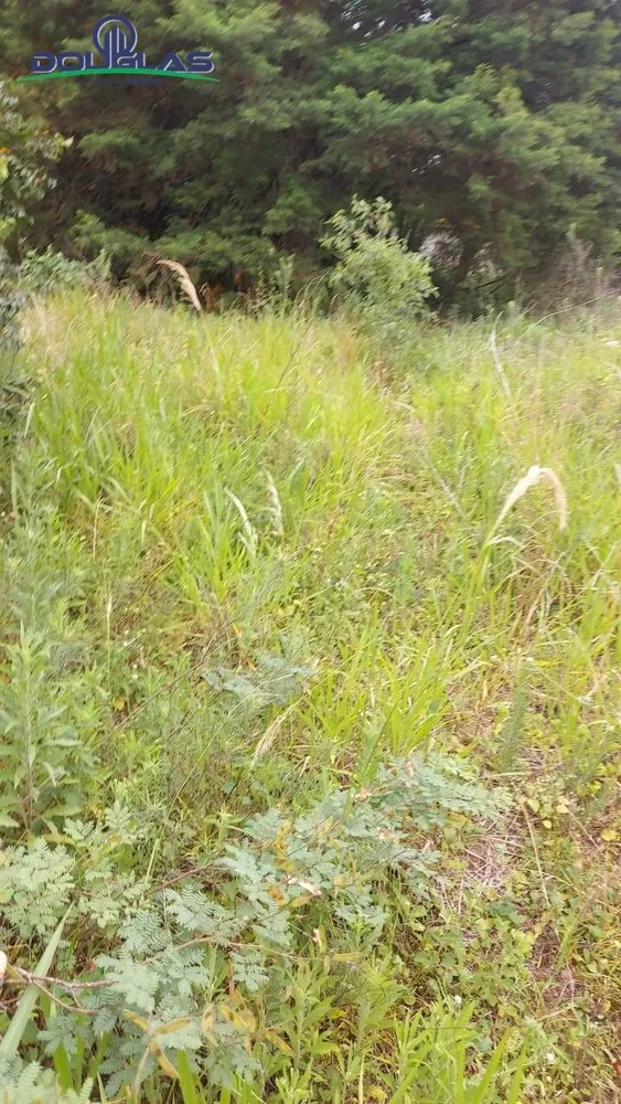 Terreno - Foto 3