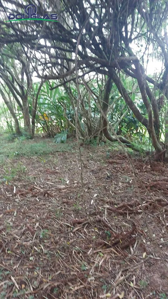 Terreno - Foto 7