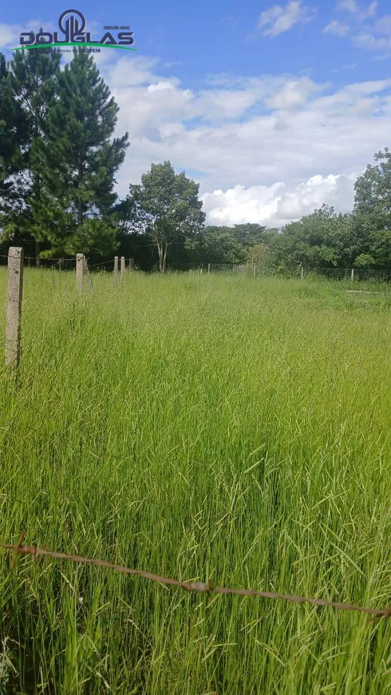 Terreno, 450 m² - Foto 5
