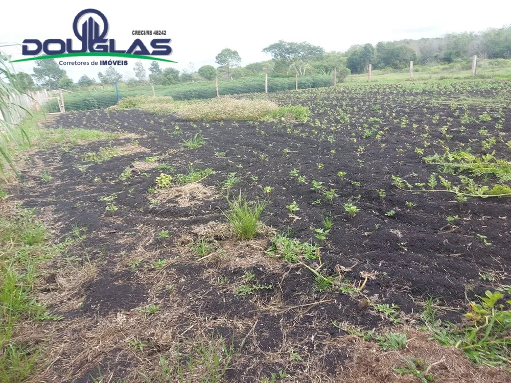 Terreno, 4500 m² - Foto 5