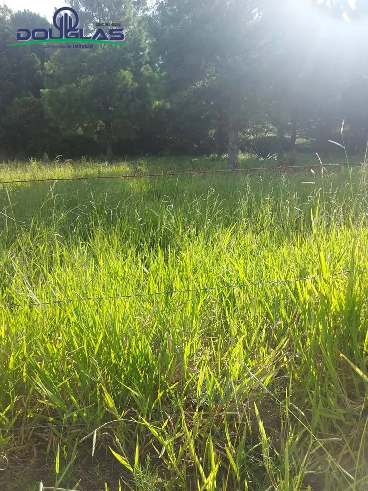Terreno, 4500 m² - Foto 2