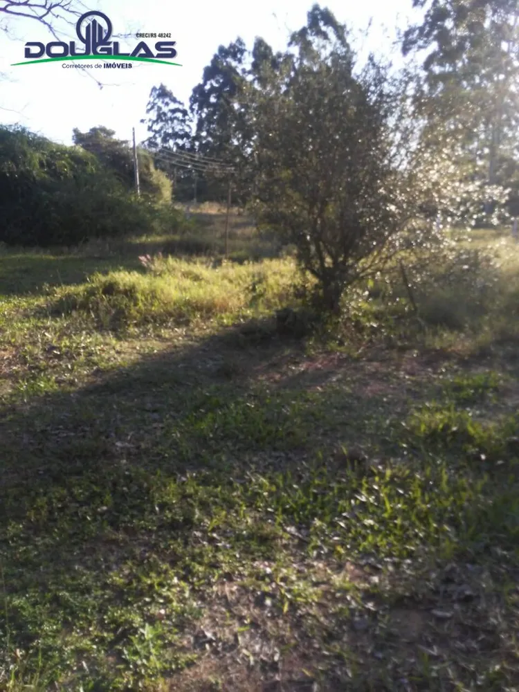 Sítio, 3 quartos - Foto 8