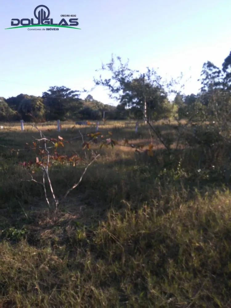 Sítio, 3 quartos - Foto 4
