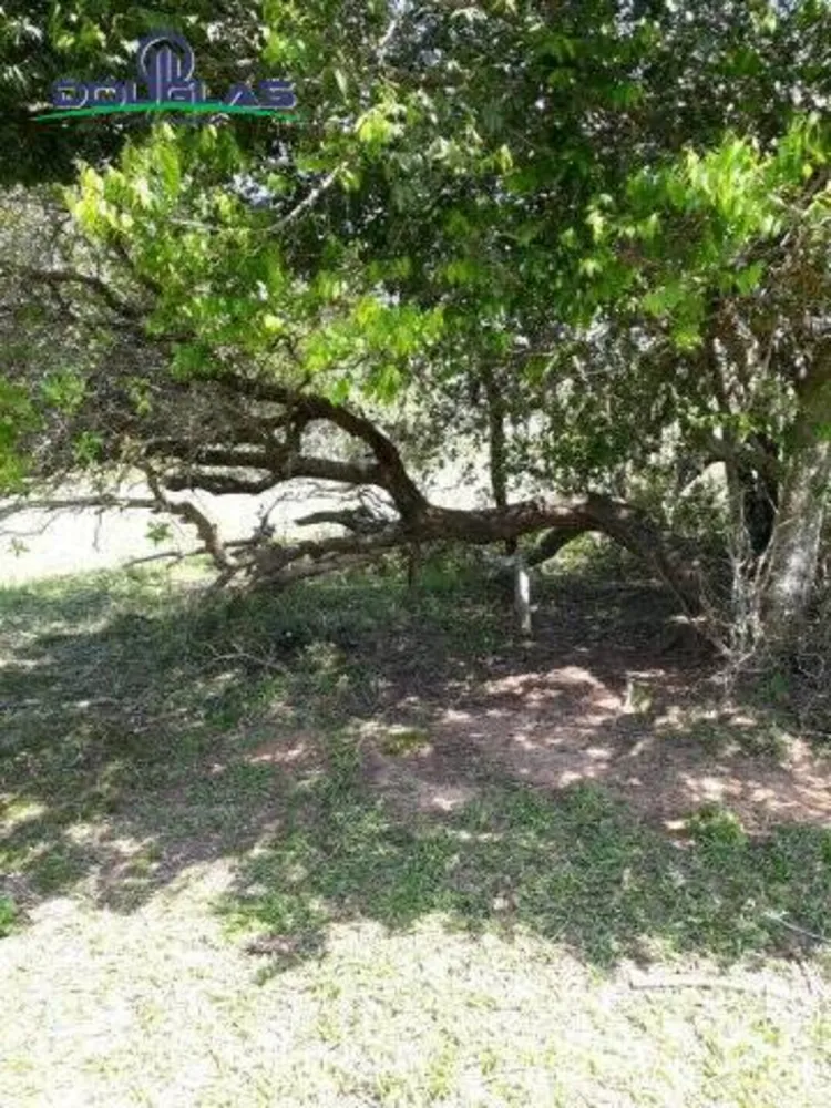 Terreno, 5000 m² - Foto 4