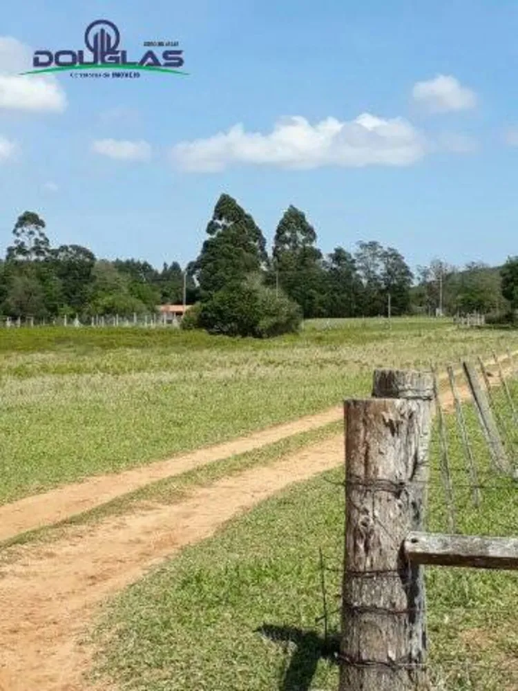 Terreno, 5000 m² - Foto 5