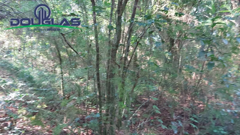 Terreno, 300 m² - Foto 5