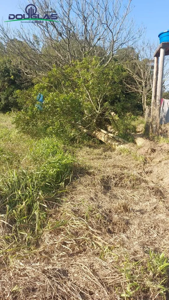 Terreno, 300 m² - Foto 2