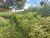 Terreno, 450 m² - Foto 3