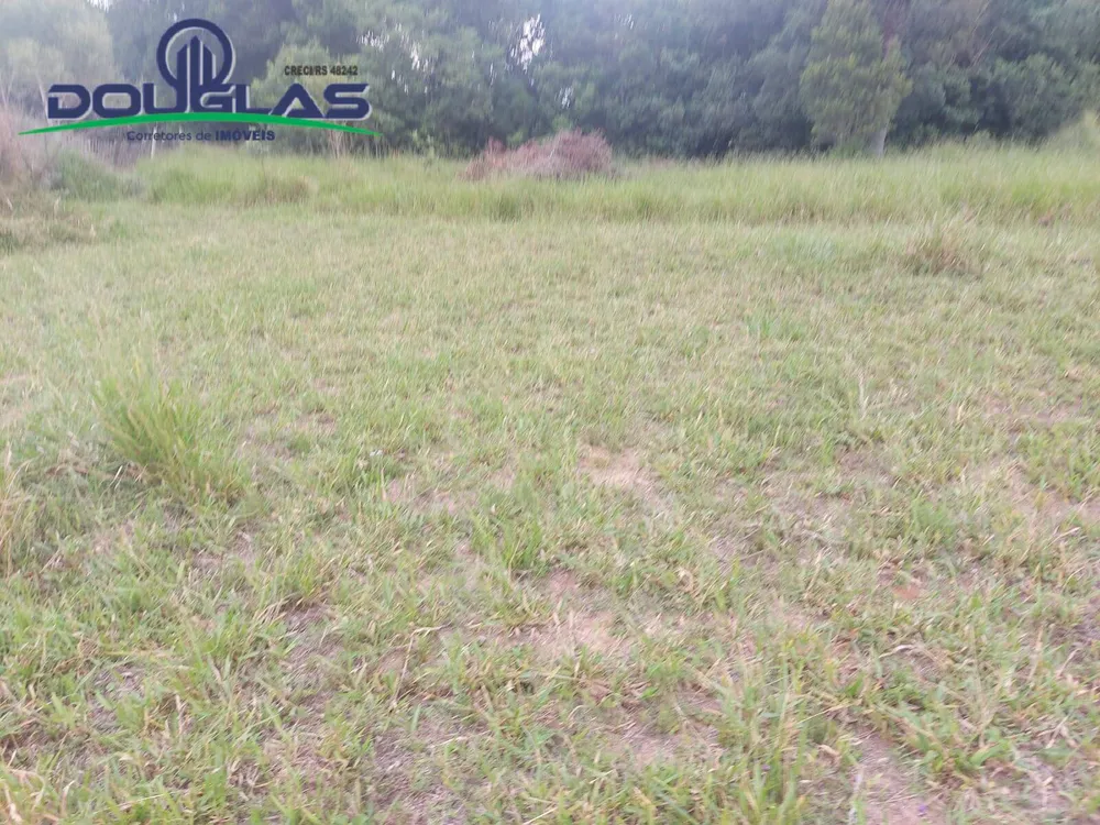 Terreno - Foto 6
