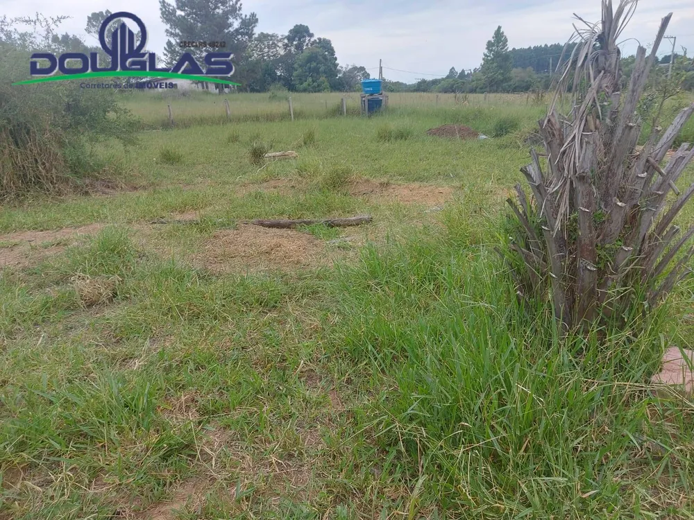 Terreno - Foto 2