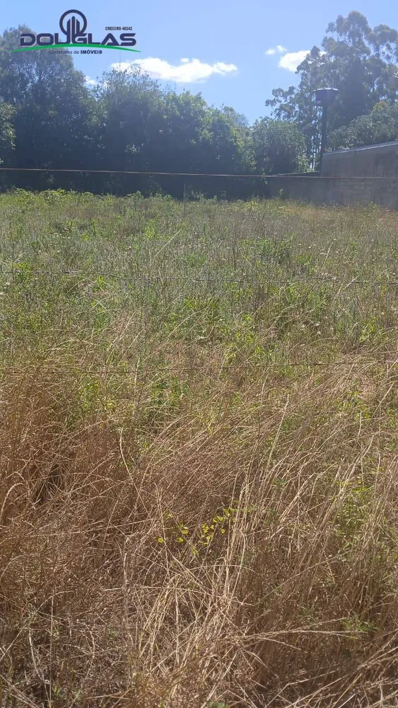 Terreno, 500 m² - Foto 6