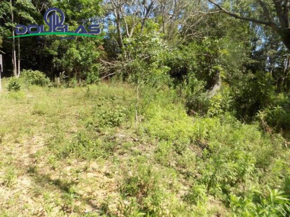 Sítio, 2 quartos, 5 hectares - Foto 4
