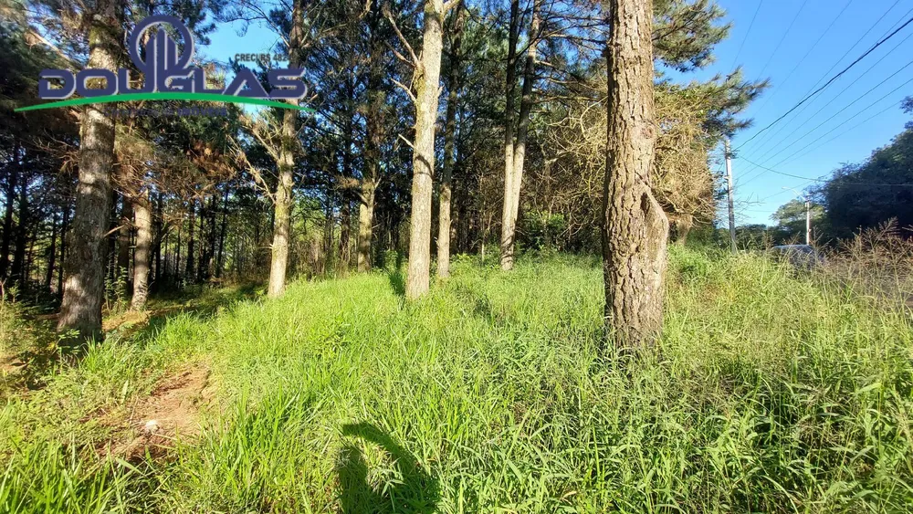 Terreno, 3100 m² - Foto 3
