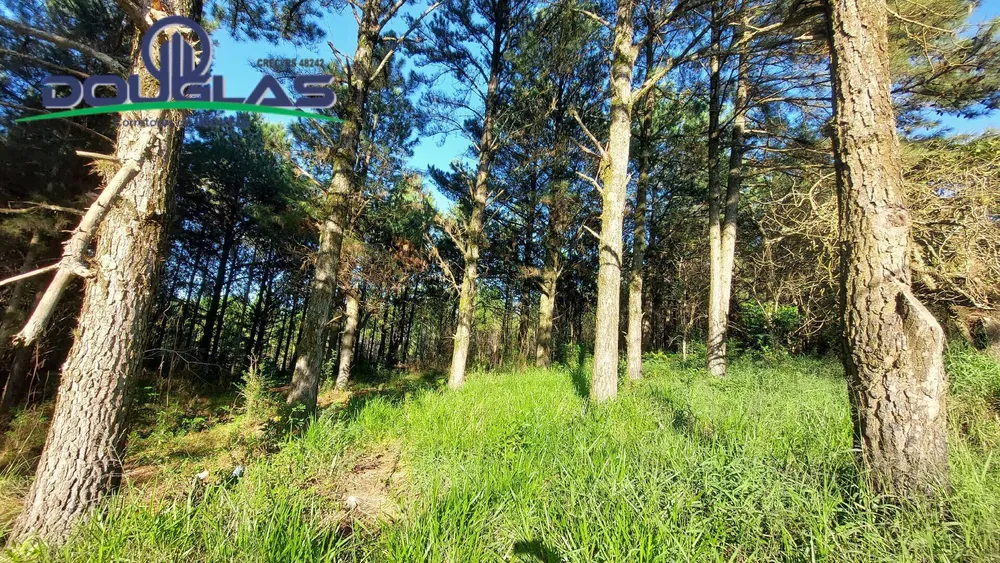 Terreno, 3100 m² - Foto 1