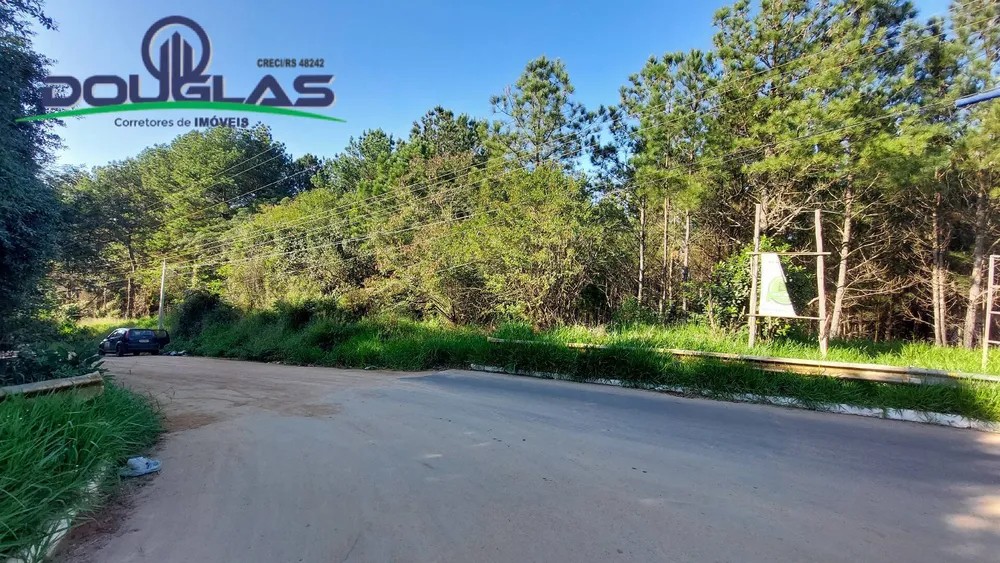 Terreno, 3100 m² - Foto 4