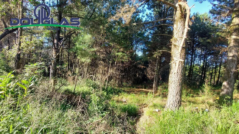 Terreno, 3100 m² - Foto 2