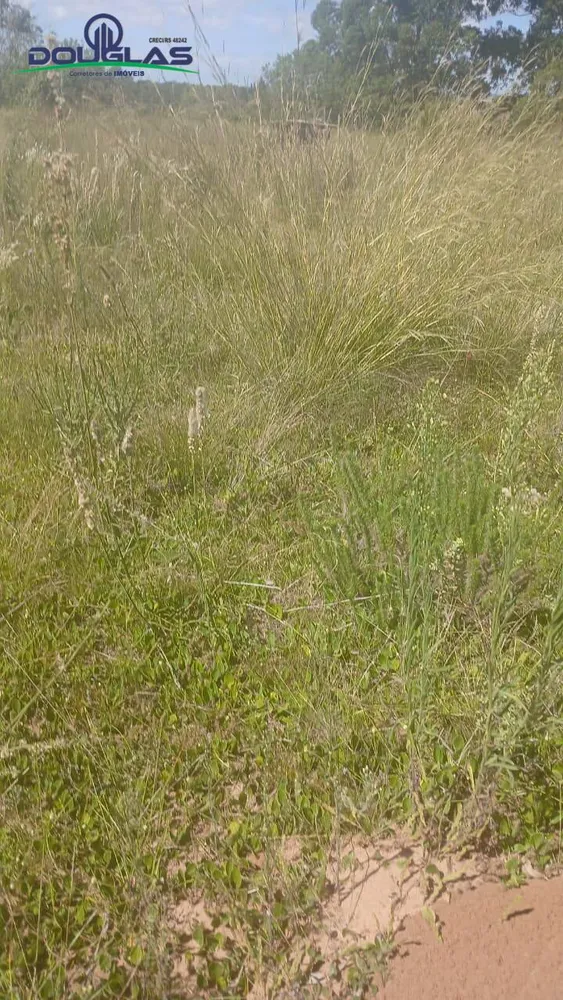 Sítio, 2 quartos, 2 hectares - Foto 8