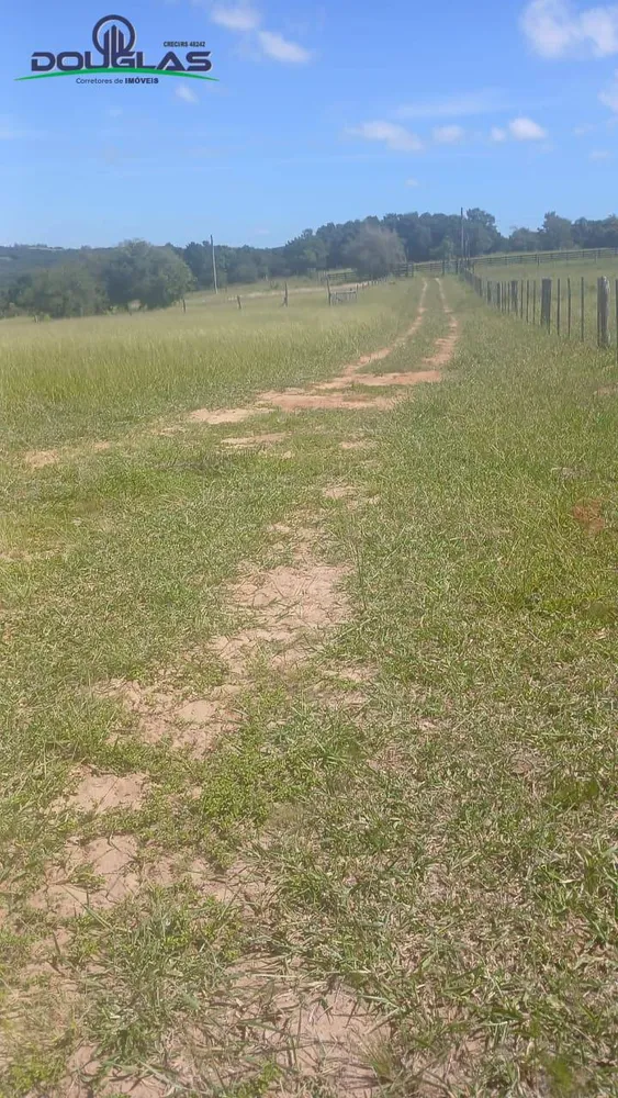Sítio, 2 quartos, 2 hectares - Foto 10