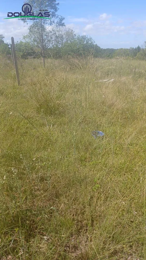 Sítio, 2 quartos, 2 hectares - Foto 9