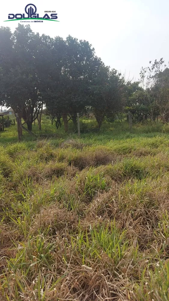 Terreno à venda - Foto 4