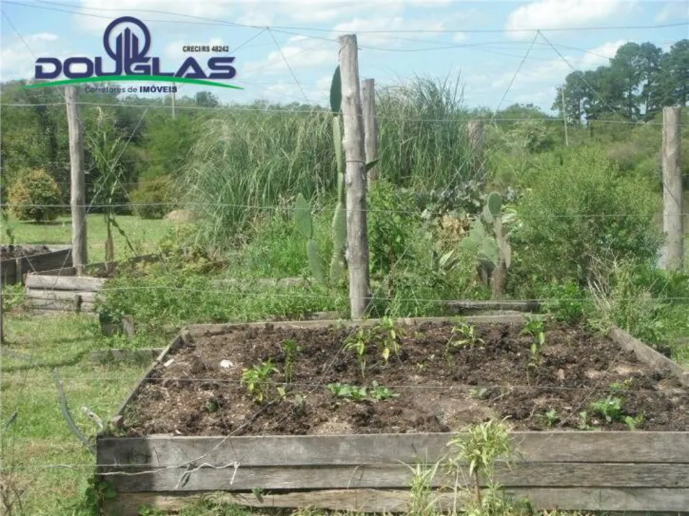 Sítio, 3 quartos, 3 hectares - Foto 1
