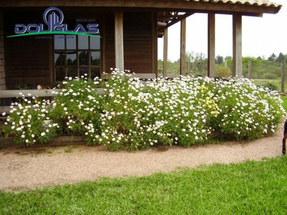 Sítio, 3 quartos, 3 hectares - Foto 7
