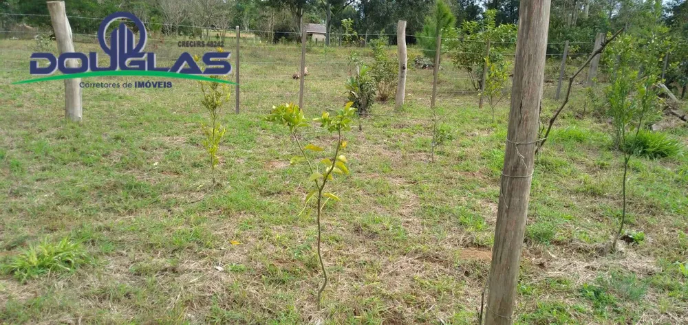 Casa - Foto 1
