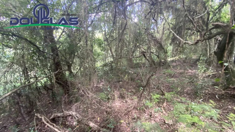 Terreno, 5000 m² - Foto 5