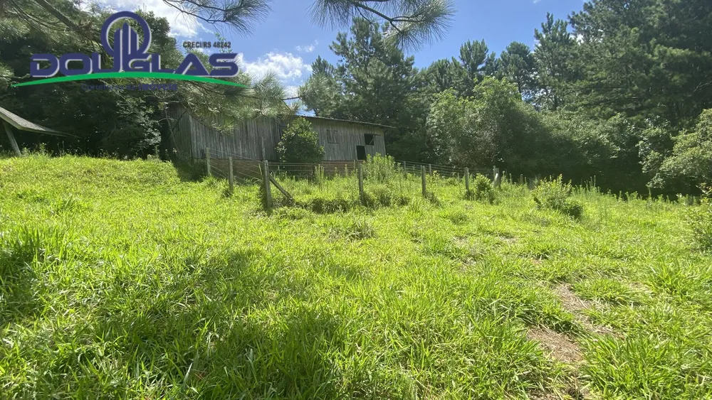 Terreno, 5000 m² - Foto 4