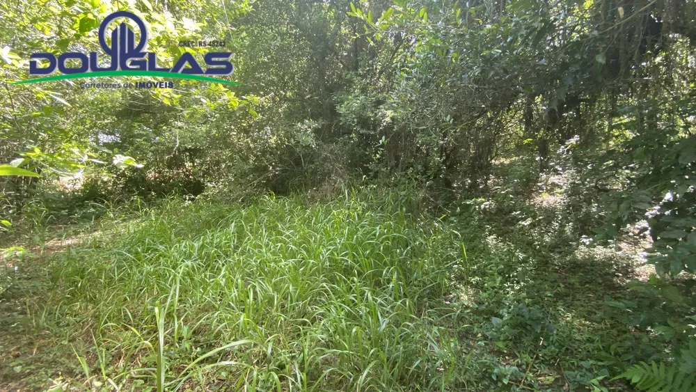Terreno, 5000 m² - Foto 3