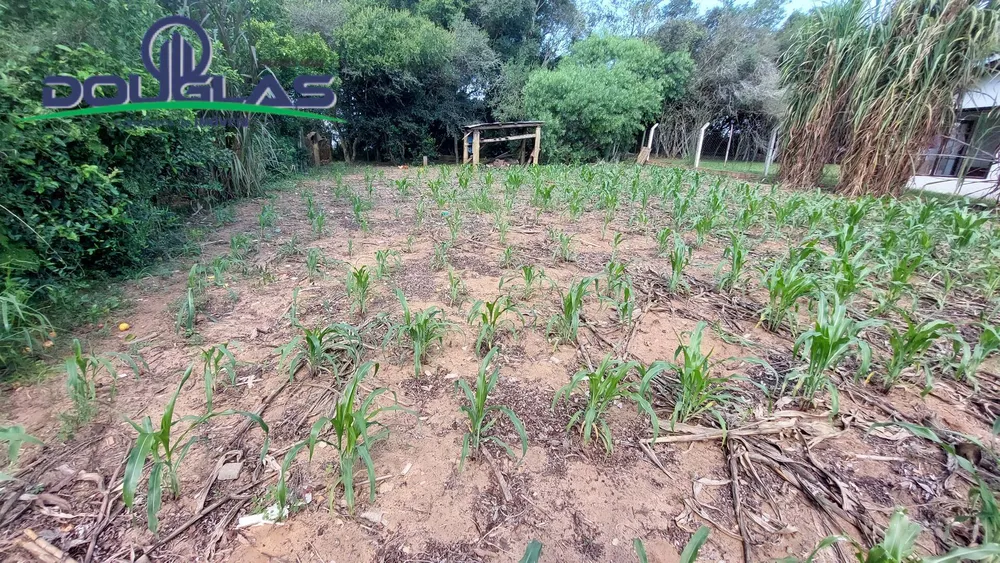 Terreno - Foto 4