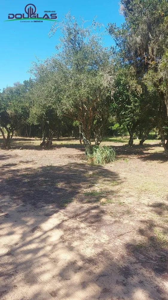 Sítio, 2 quartos, 1 hectares - Foto 3