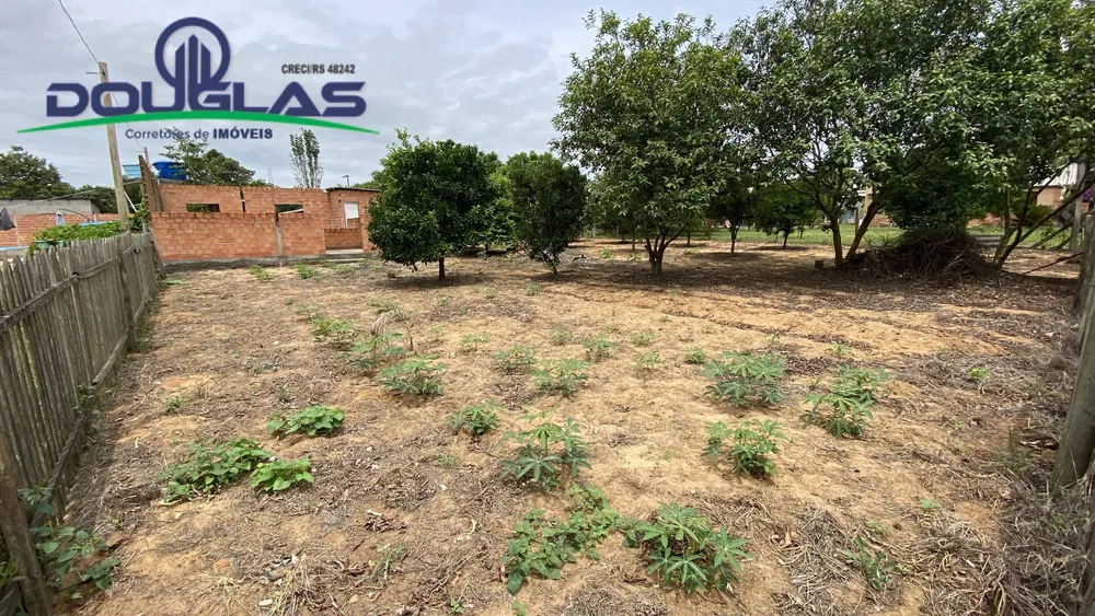 Terreno - Foto 2