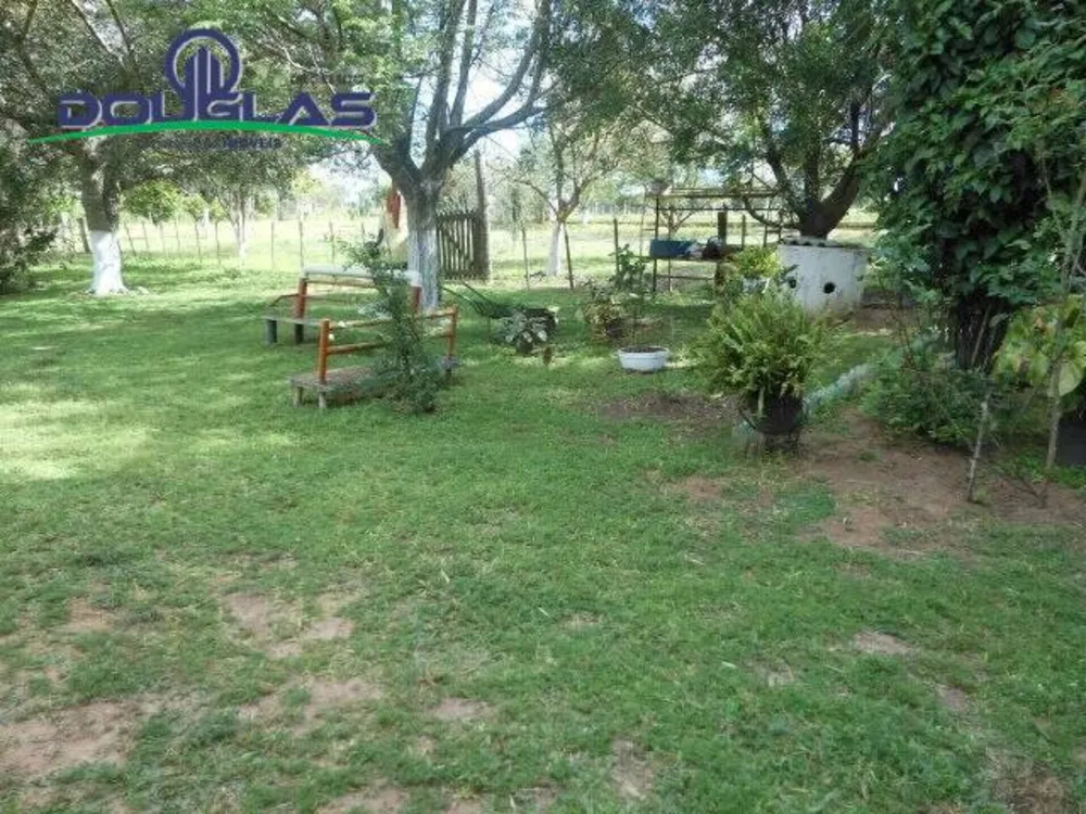 Sítio, 2 quartos, 5000 m² - Foto 6