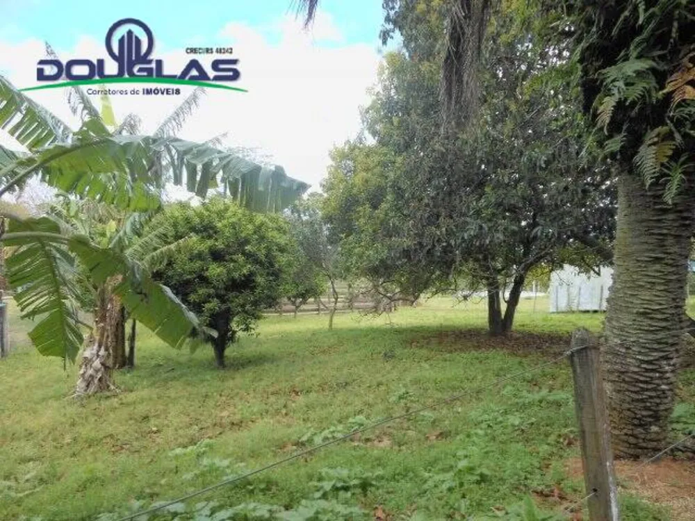 Sítio, 2 quartos, 5000 m² - Foto 10