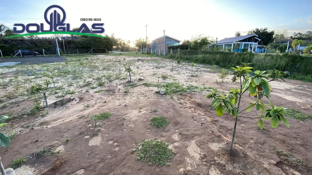 Terreno - Foto 6