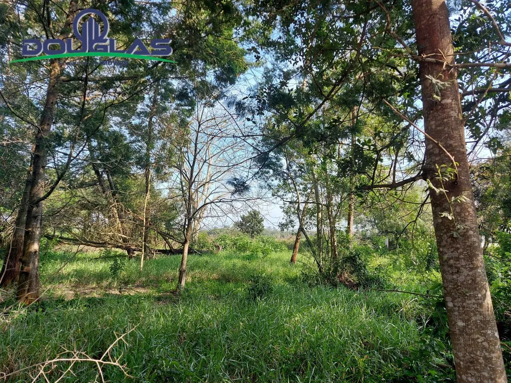 Terreno, 700 m² - Foto 4
