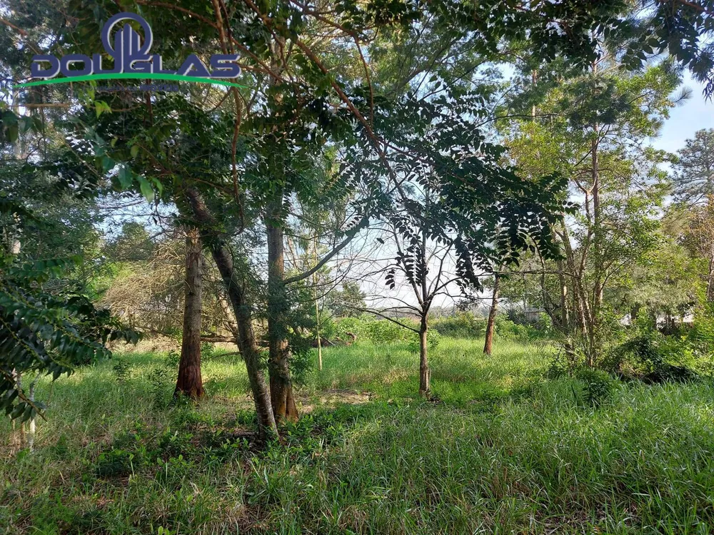 Terreno, 700 m² - Foto 1